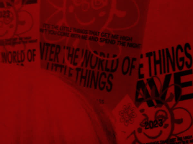 Little Things (Nia Archives Remix) (Single)