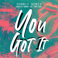 You Got It (Dommix Remix) (Single)