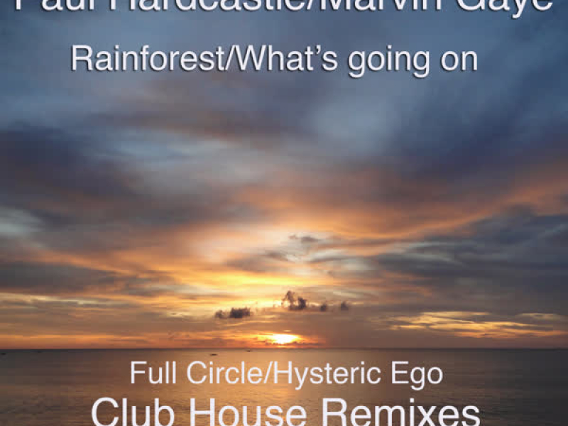Rainforest/What's Going On  (Club House Remixes)