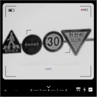 kangaroo effect (Single)