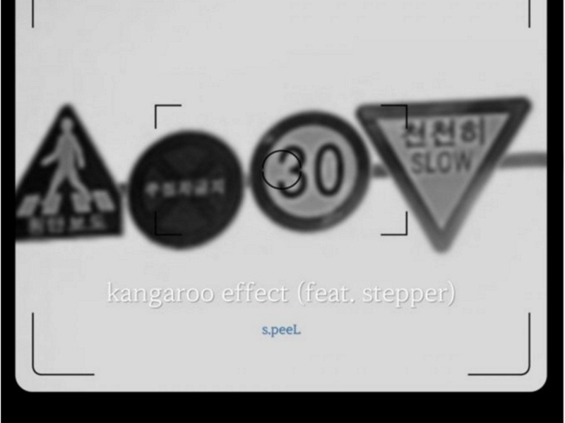kangaroo effect (Single)