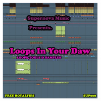 Loops in Your Daw (Loops, Tools & Samples)