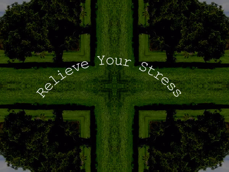 Relieve Your Stress