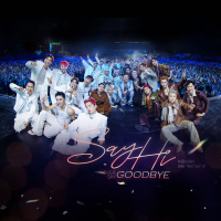 SAY HI NEVER SAY GOODBYE (Single)