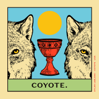 Coyote (Single)