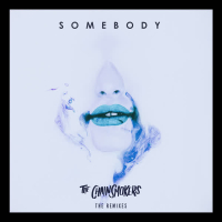 Somebody (Remixes) (EP)
