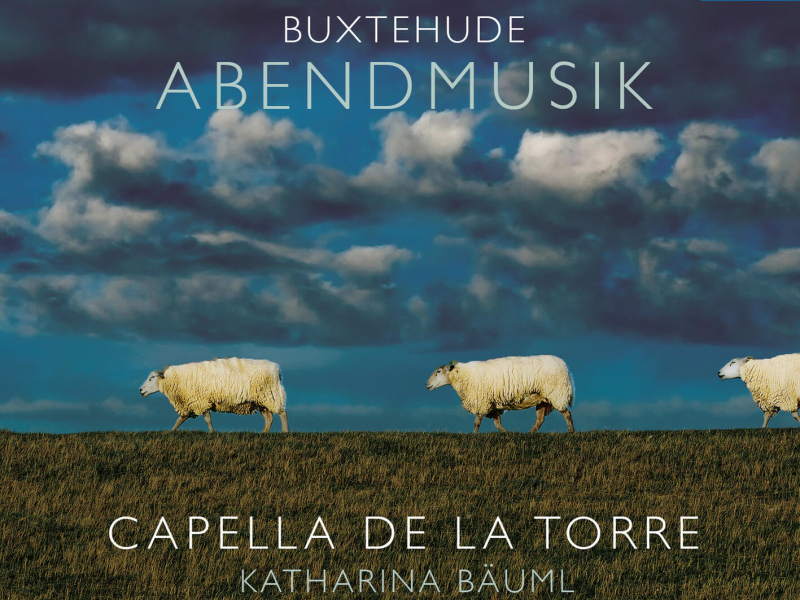 Taffel Consort (Mascarada) (Single)