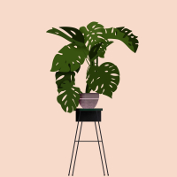 Burning Candles (Single)