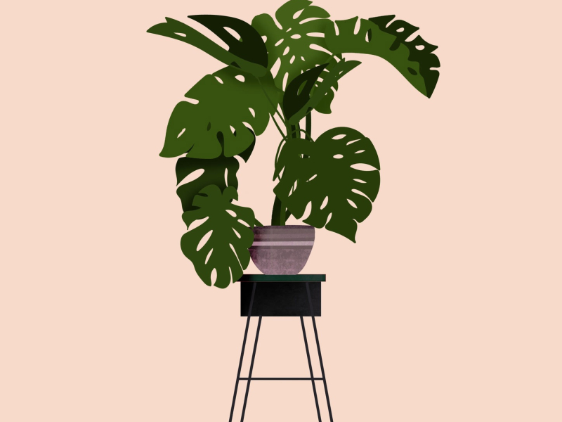 Burning Candles (Single)