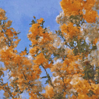 Still Around the World (Single)