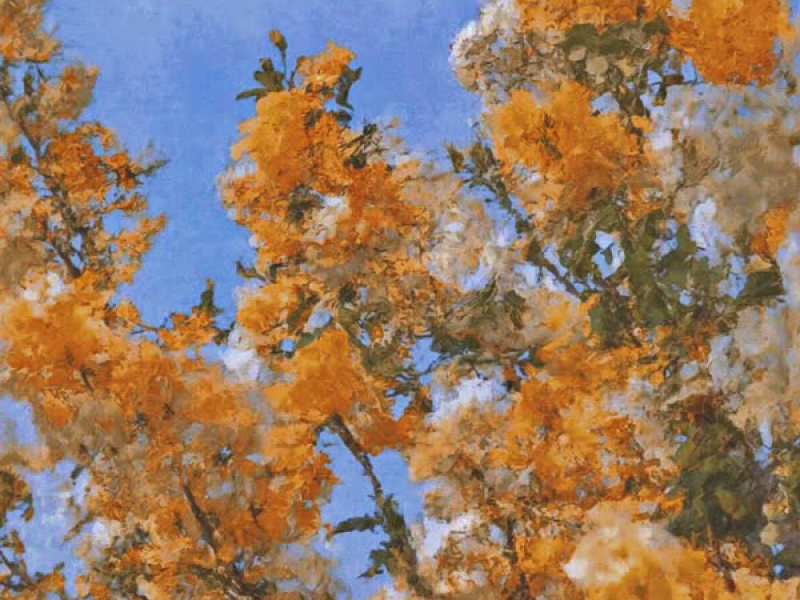 Still Around the World (Single)