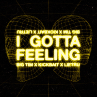 I Gotta Feeling (Single)