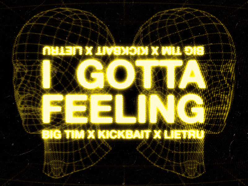 I Gotta Feeling (Single)
