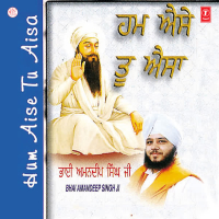 Hum Aise Tu Aisa Vol-20 (Single)