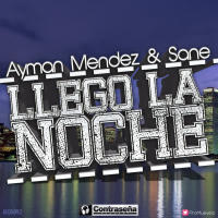 Llegó la Noche (Single)