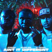 Ain't It Different (Single)