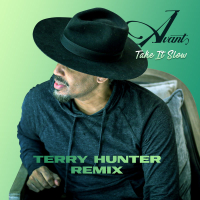 Take It Slow (Terry Hunter Remixes) (Single)