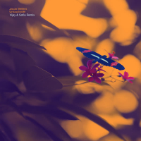 Untouchable (Single)