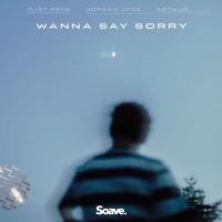 Wanna Say Sorry (Single)