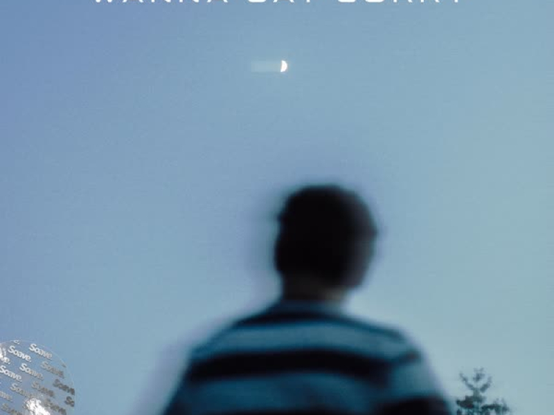 Wanna Say Sorry (Single)