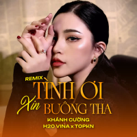 Tình Ơi Xin Buông Tha (Remix) (Single)