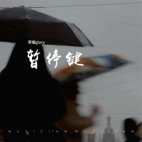 暂停键 (Single)