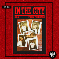 In the City (VV Mix) (Single)