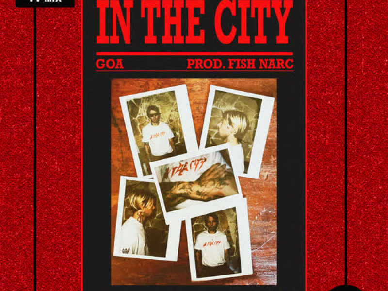 In the City (VV Mix) (Single)