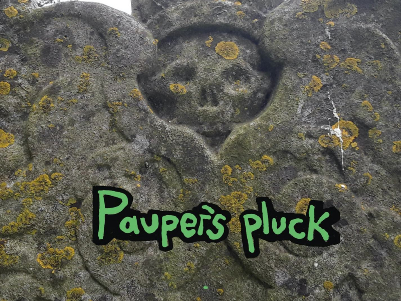 Pauper's Pluck (Single)