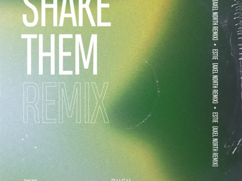 Shake Them (Axel North Remix) (Single)