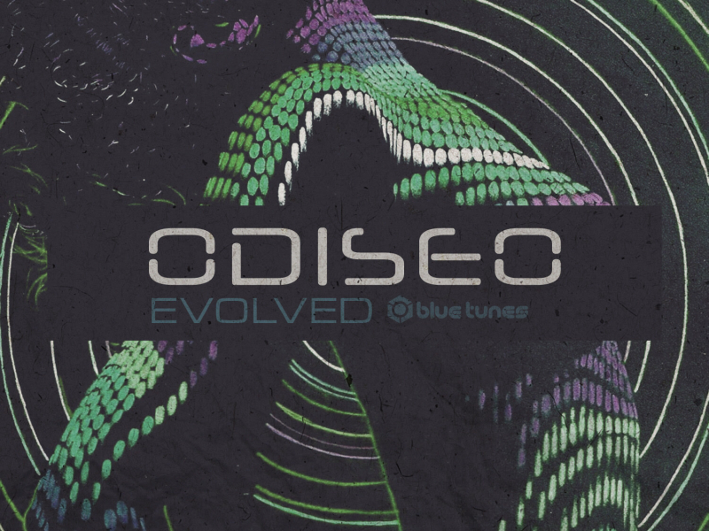 Evolved - Single