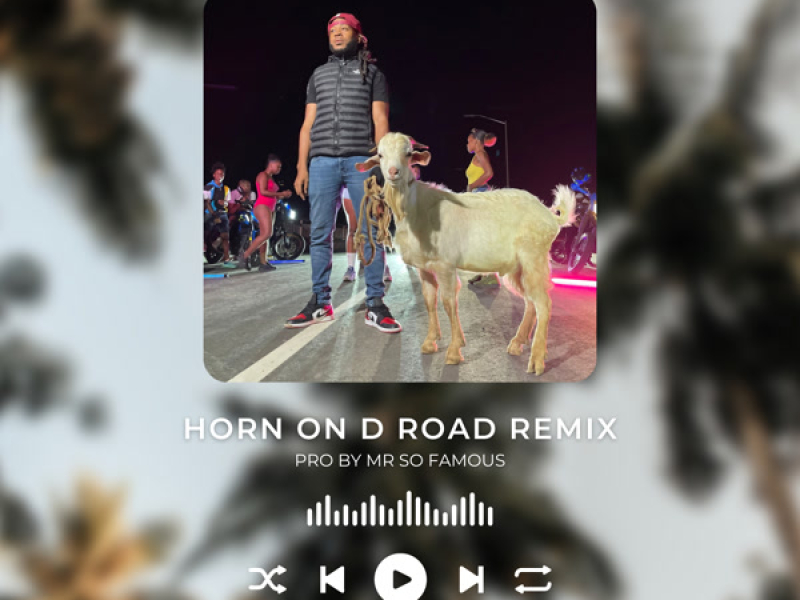 Horn On D Road (Remix) (Single)