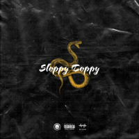 Sloppy Toppy (Single)