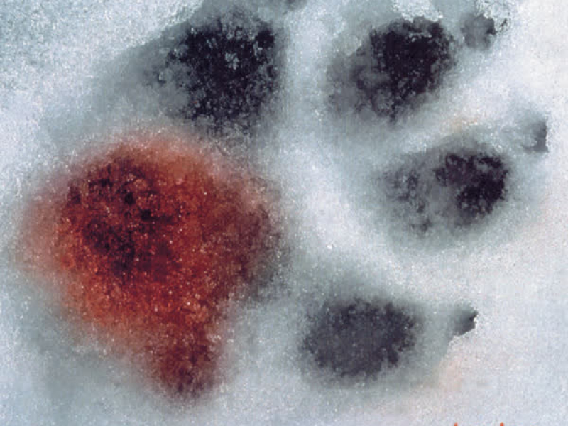 Falange Canibal (Deluxe)