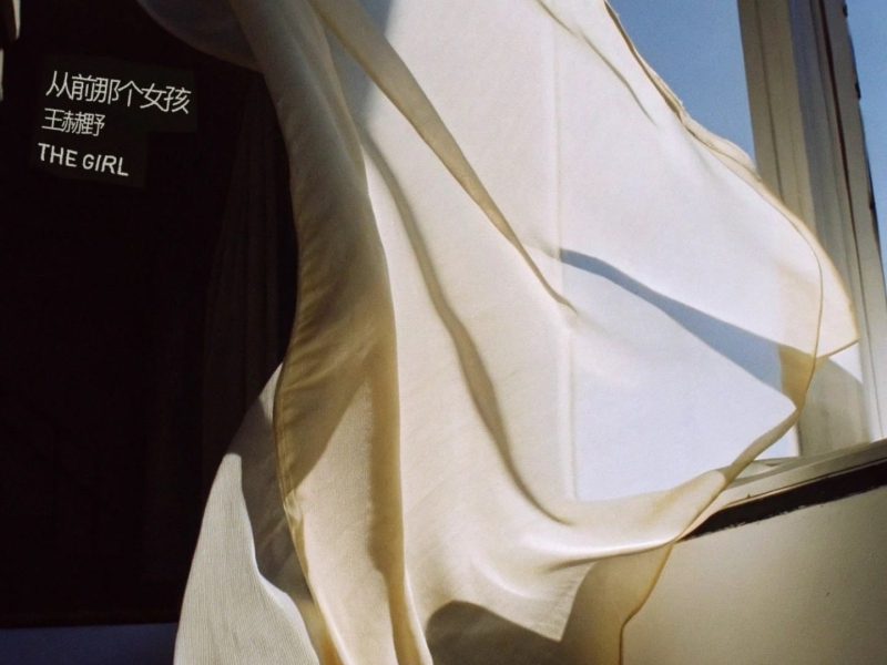 Cô Gái Ngày Xưa Ấy / 从前那个女孩 (Single)