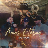 Amor Eterno (En Vivo) (Single)