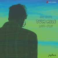 Tum Mile (Lofi Flip) (Single)