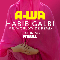 Habib Galbi (Mr. Worldwide Remix) (Single)