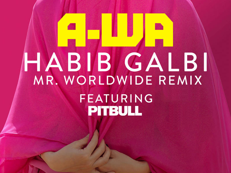Habib Galbi (Mr. Worldwide Remix) (Single)