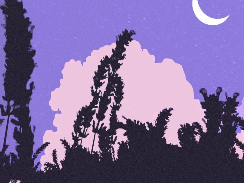 Do You Wanna Try (feat. Lxvrich) (Single)