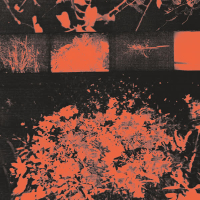 everything, everything (Single)