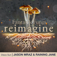 Disco Sun (Fantastic Fungi: Reimagine) (Single)