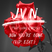 now you're gone (VIP Edit) (Single)