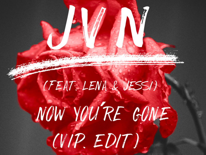 now you're gone (VIP Edit) (Single)