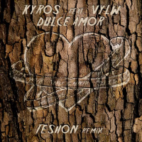 Dulce Amor (Feshon Remix) (Single)