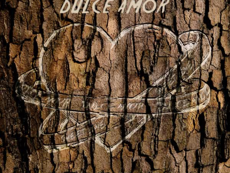 Dulce Amor (Feshon Remix) (Single)