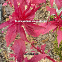 food expenses in malaysia