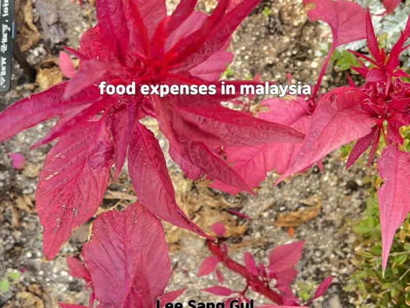 food expenses in malaysia