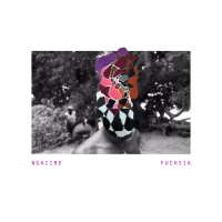 Fuchsia (Single)