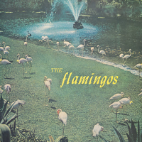 The Flamingos